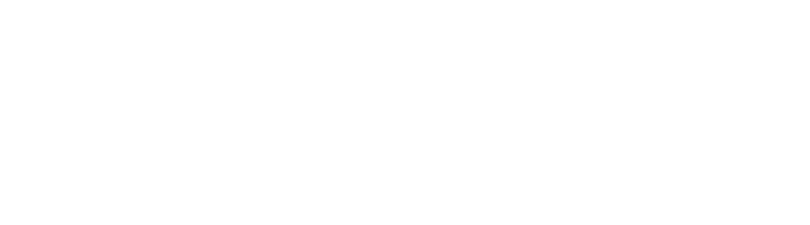 wj gifhorn wolfsburg logo 2